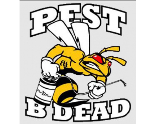 Photo of Gary’s Pest B Dead Photo of Gary’s Pest B Dead