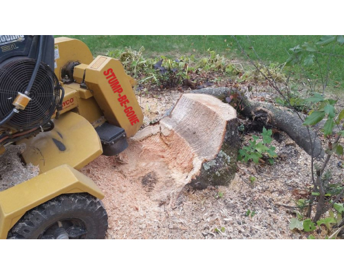 Photo of Stump-Be-Gone Photo of Stump-Be-Gone