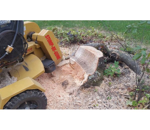 Photo of Stump-Be-Gone Photo of Stump-Be-Gone